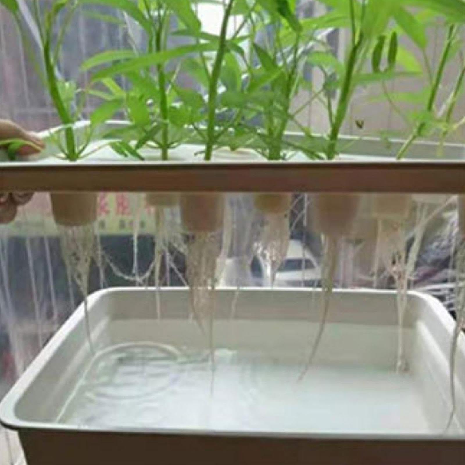Générique Boîte Hydroponique Système d'Irrigation Automatique Kit de Culture Bac de Plantation Compact et Solide Adaptée à la Production de Légumes