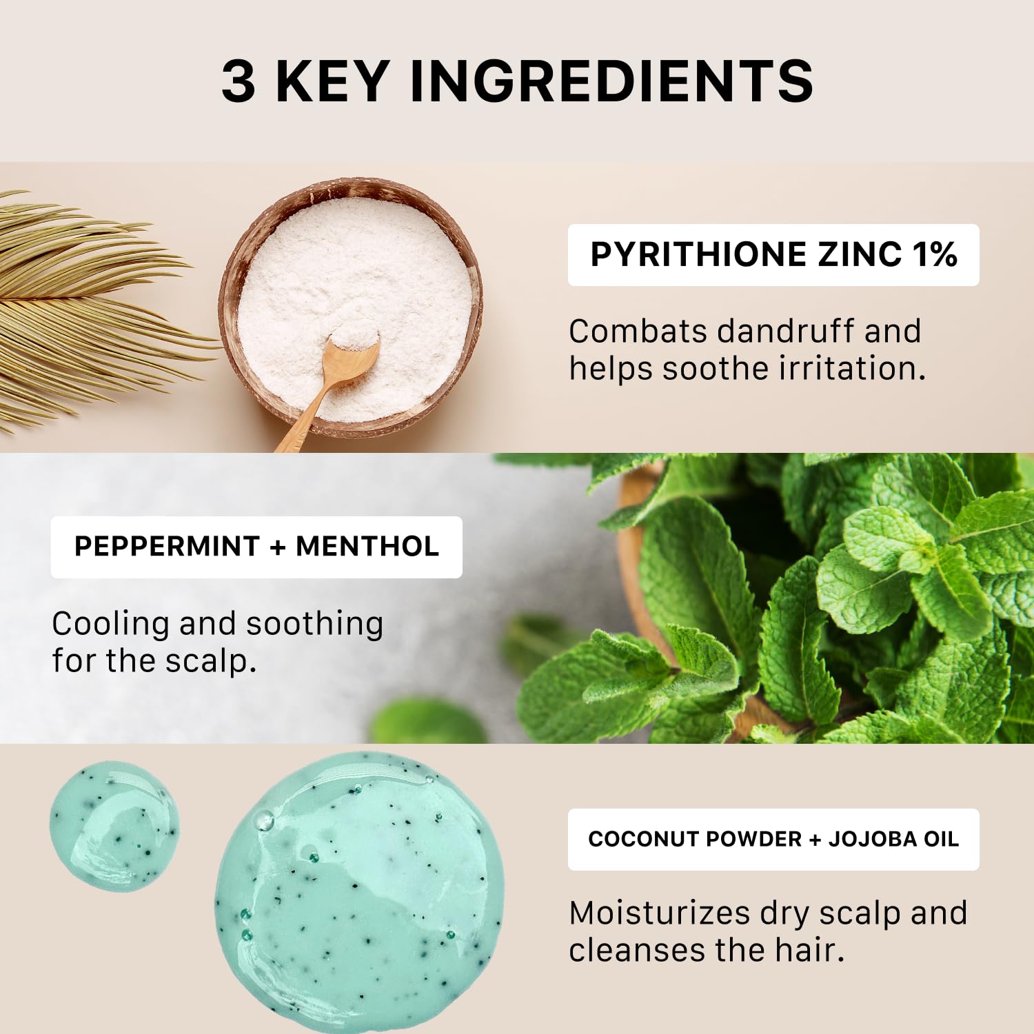 ACTIIV Remedy Dandruff Shampoo Treatment | Relieves Dryness & Flakes, Soothes Scalp Irritation, Supports Healthy Hair & Scalp, Plant-Based, Color-Safe, Vegan, All Hair Types - Image 7