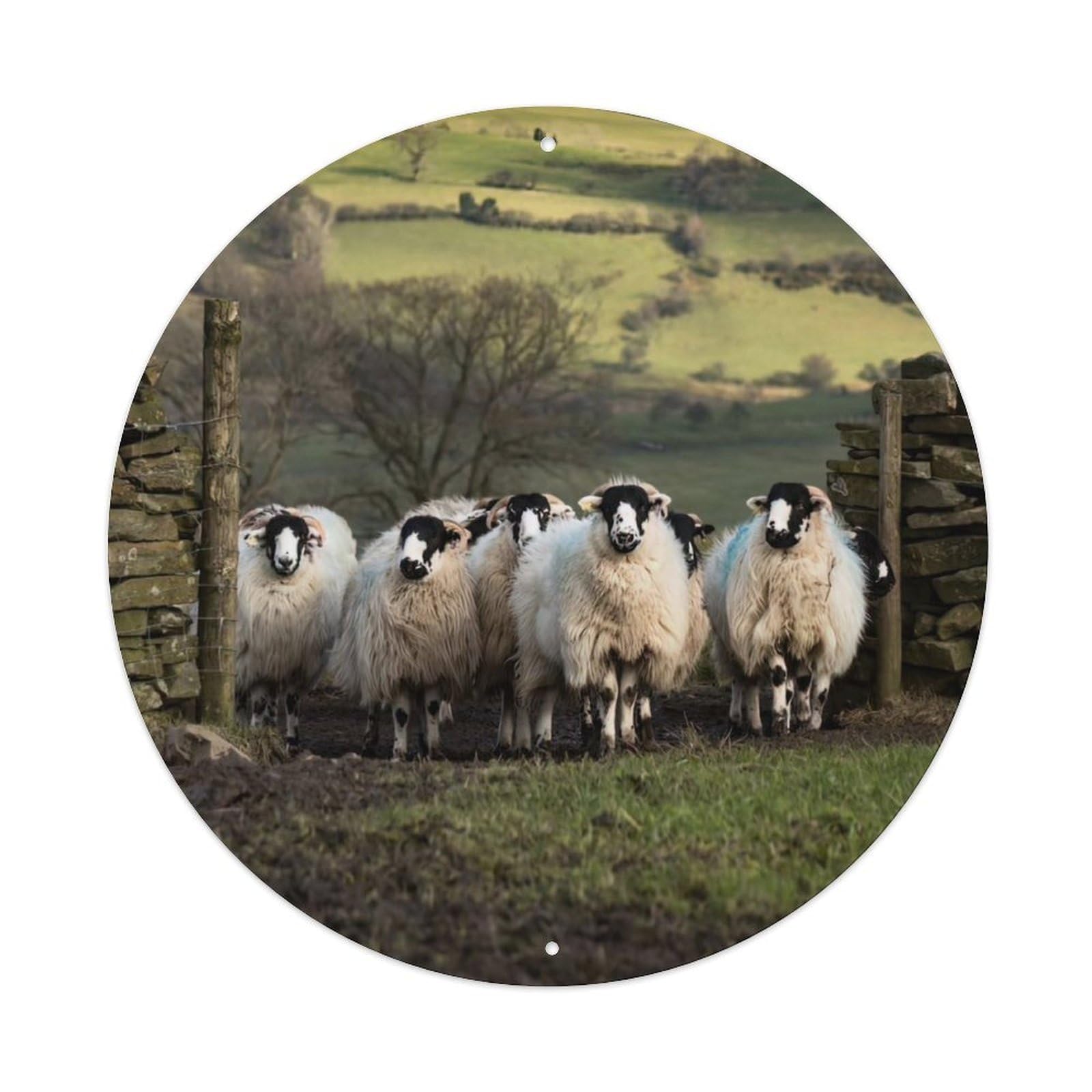 Animal Langke Sheep Vintage Metal Tin Sign Plaque Wall Decor for Cafe, Club Bar, Office, Garden Metal Poster 8x8Inch