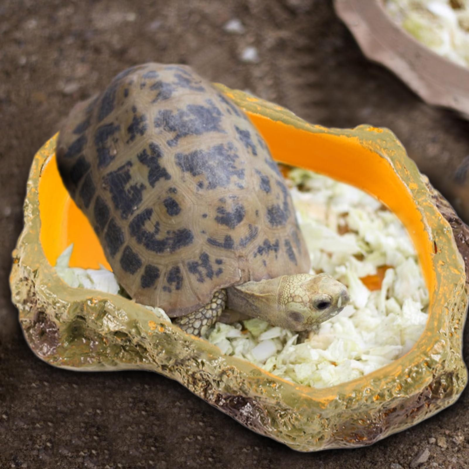 Rettili Mangiatoia Sicura Multifunzione Per Piccoli Animali | Vasca Reptile Ciotole, Vasca E Vassoio Per Drago Barbuto, , Tartaruga, Rana E Vasca Tartarughe