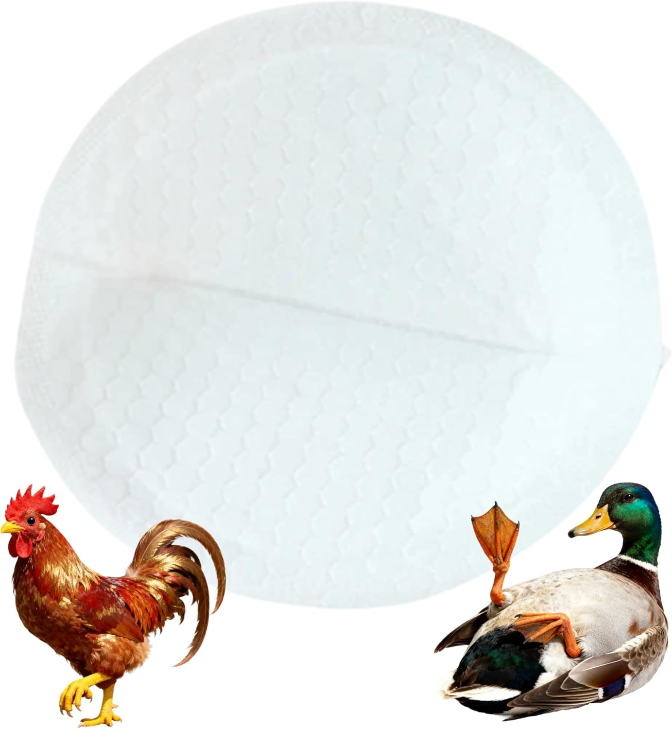 Disposable Poultry Diaper Pads 20Pcs~100Pcs for Goose Chicken Hen Duck Bird Sticky Pad Leak-Proof Unscented Reusable Diapers Nappy Accessories (One Size, Count, 40)