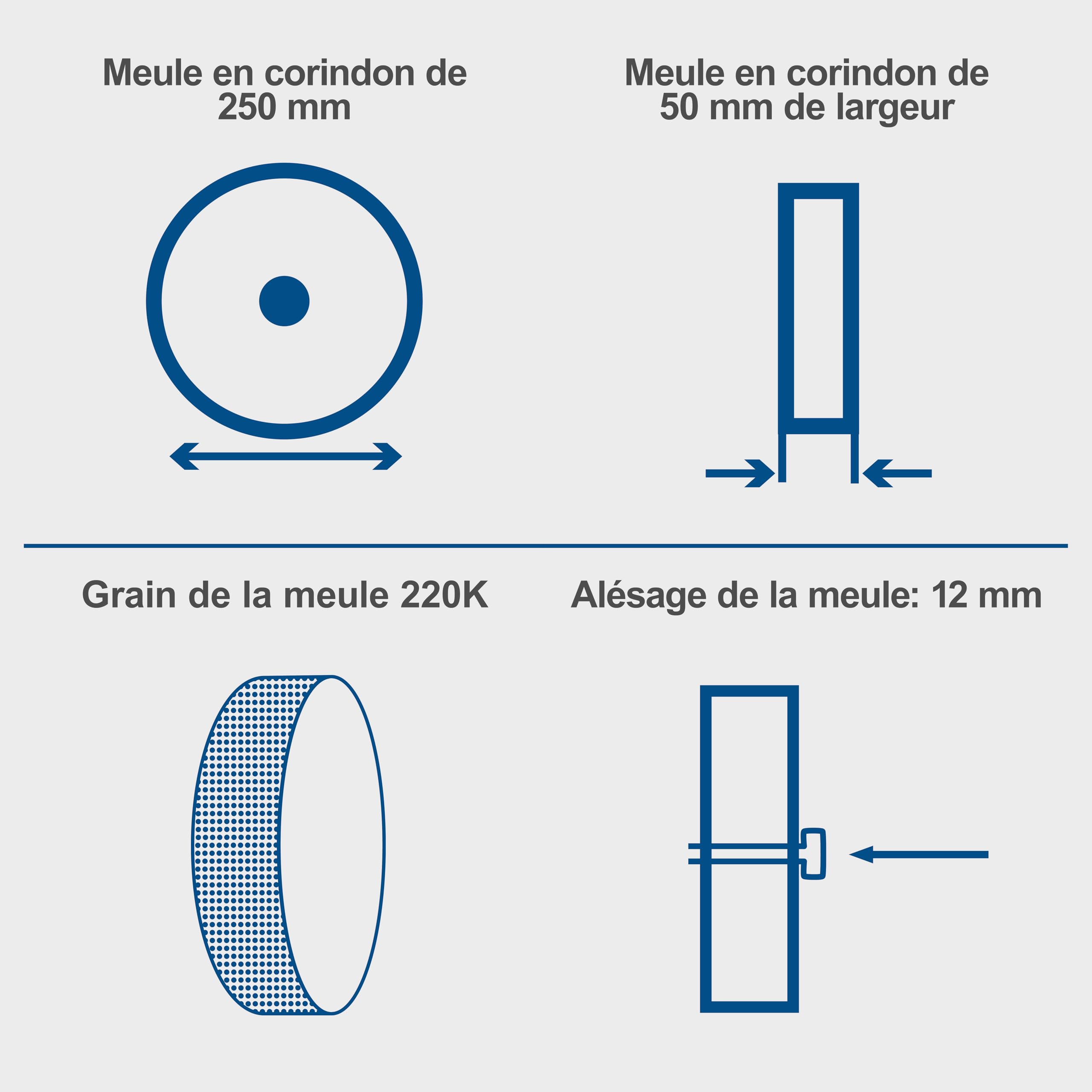 Scheppach Affûteuse à Eau TIGER2500S| Moteur à induction 200W | Meule en corindon supérieur Ø250mm | Dispositif pour outils standard droits | Pâte à poncer | Disque à poncer | Gabarit d'angle