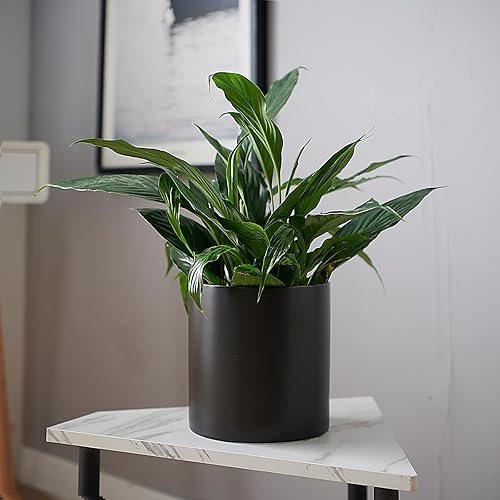 Miniatura 6 de Macetas de cerámica negra de 5.1 pulgadas para plantas de interior y exterior, maceta con orificio de drenaje, macetas modernas mate para oficina en