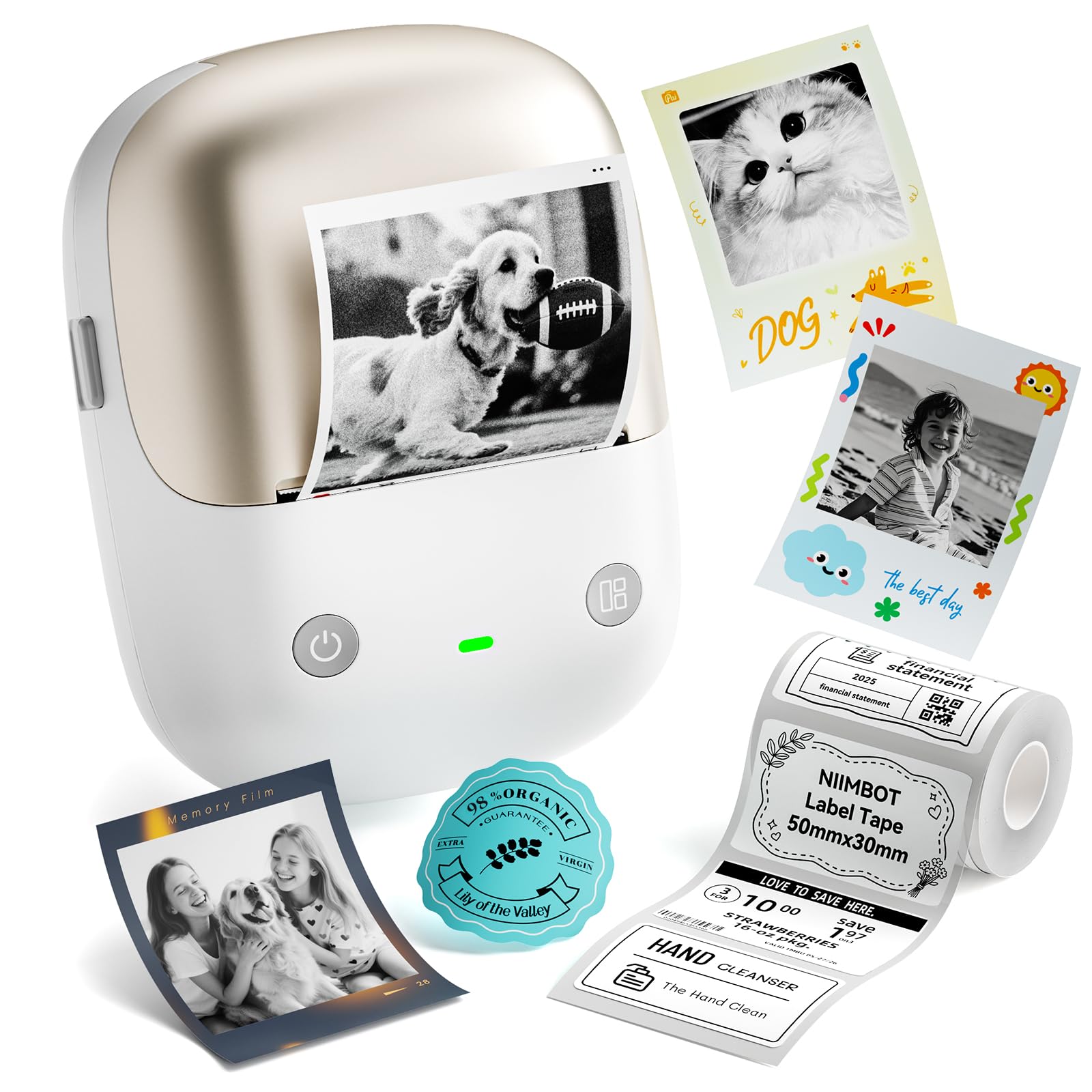NIIMBOT B2 Pro Label Maker