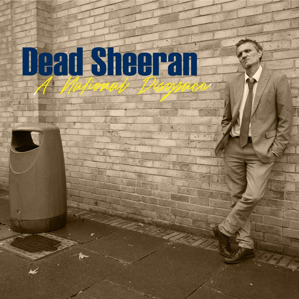 National Disgrace [VINYL]