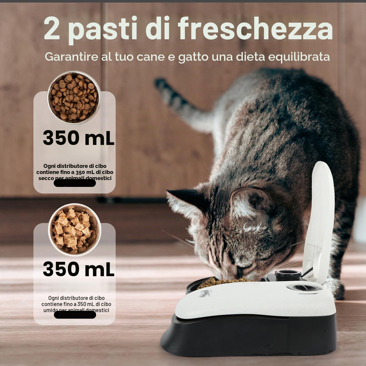 PAWISE, Distributore automatico di cibo per animali domestici, per cani e gatti, dispenser per 2 pasti, ciotola con timer