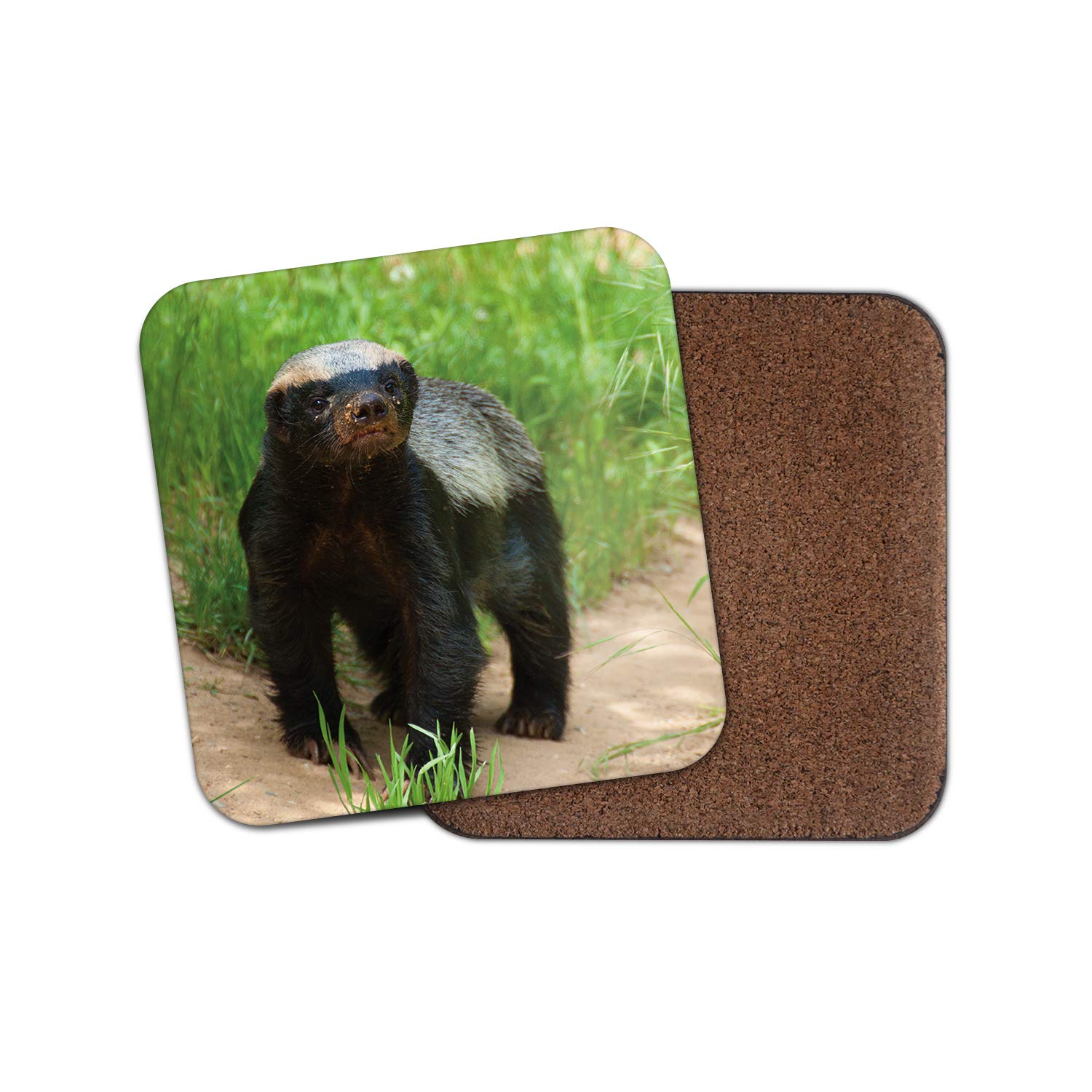 Destination Vinyl Ltd Multicolor 1 X Honey Badger Coaster - Natural World Wildlife Cute Animals #16108