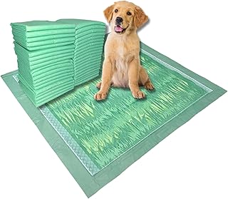Dog & Puppy Pads Pet Potty Training Pad - Large Disposable Wee Wee Pads for Dogs - Grass Design & Scent - Super Absorbent & Leak Proof Doggy Piddle Pee Pads for Pets - 40 Count - 24”x24”