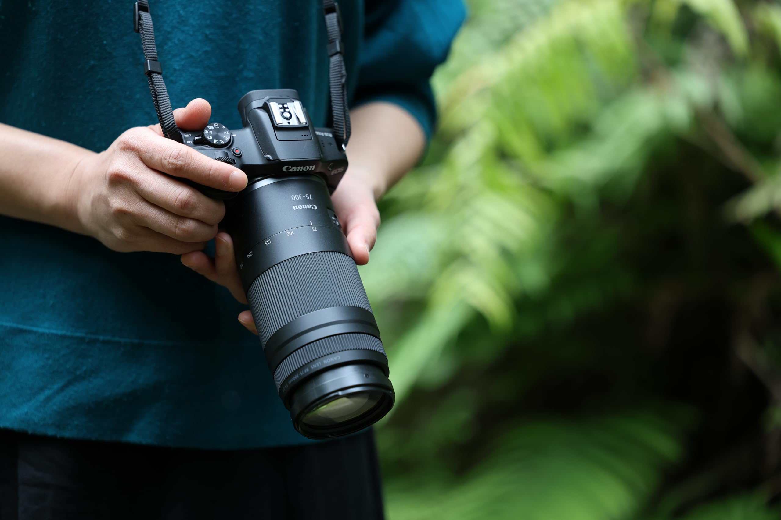 Canon EOS RP、Canon RF 75-300mm 望遠ズームレンズ Canon RF75-300mm F4-5.6 Telephoto Zoom Lens for Canon RF Mount