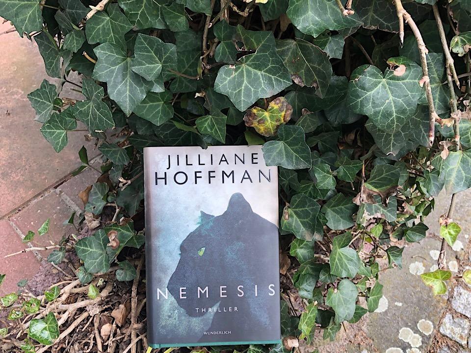 Nemesis Thriller (Die C.J.TownsendReihe 4) eBook