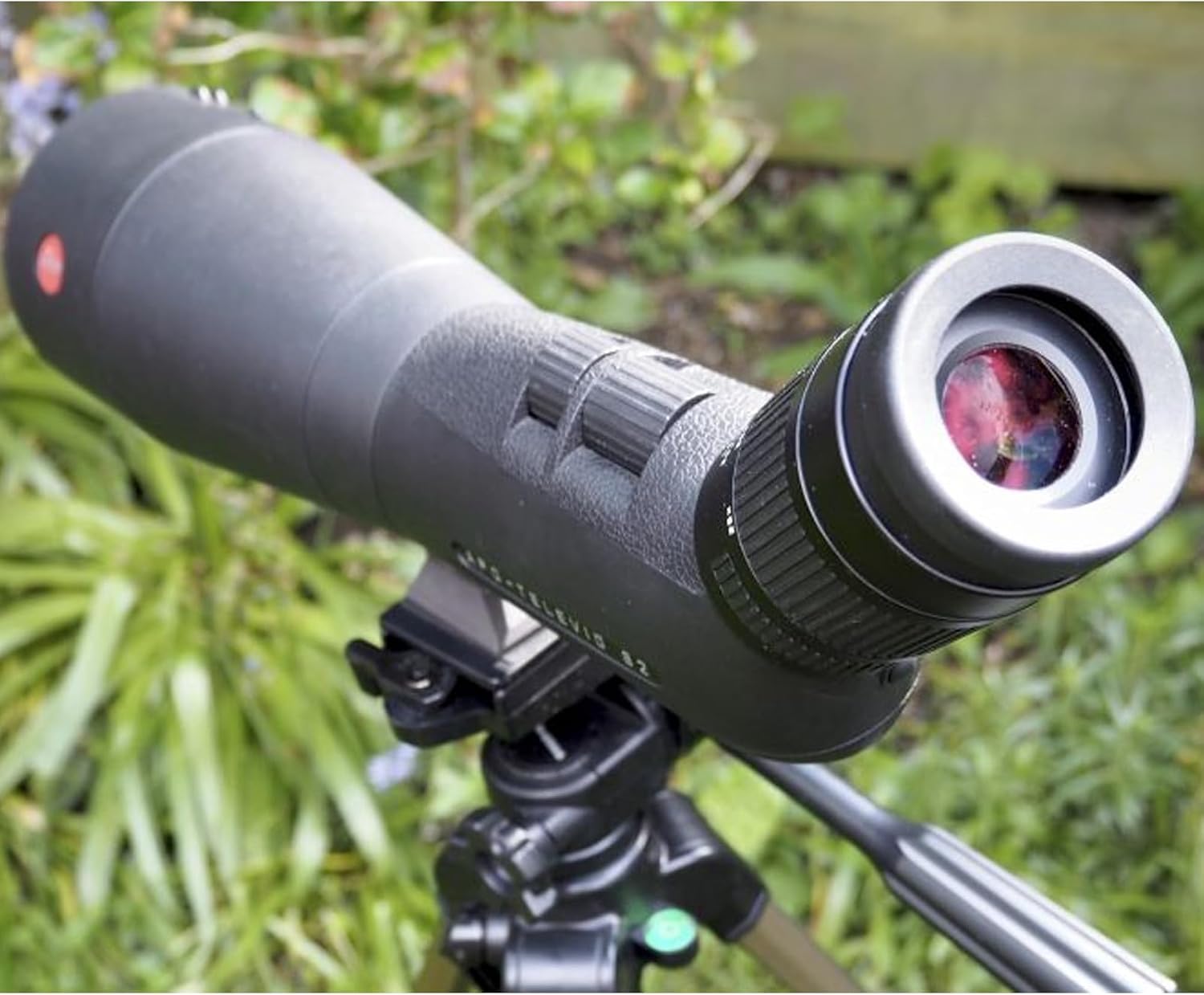 Leica APO-Televid 82 Angled Spotting Scope - Maximum Contrast, Perfect Color Fidelity, Precise Focusing, Watertight Coating