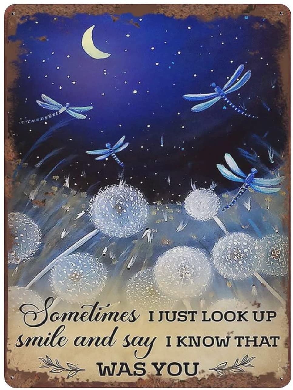 Kwqdozf Tin Sign-08 12X16inch Metal Vintage Tin Sign Sometimes I Just Look Up Smile And Say I K