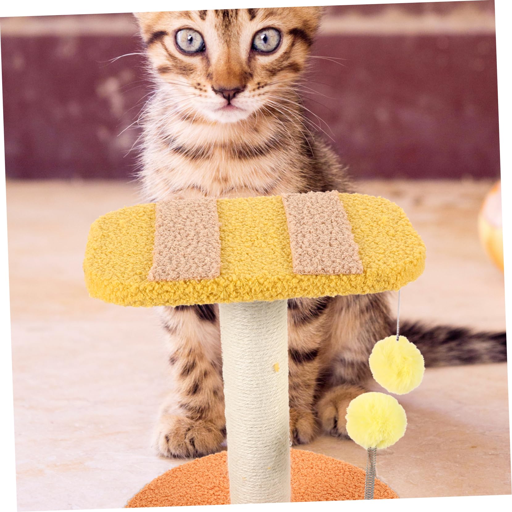 Tiragraffi Per Gatti in Sisal Giocattolo Per Gatti Con Design Interessante Materiale Sicuro E Riutilizzabile Per Gattini