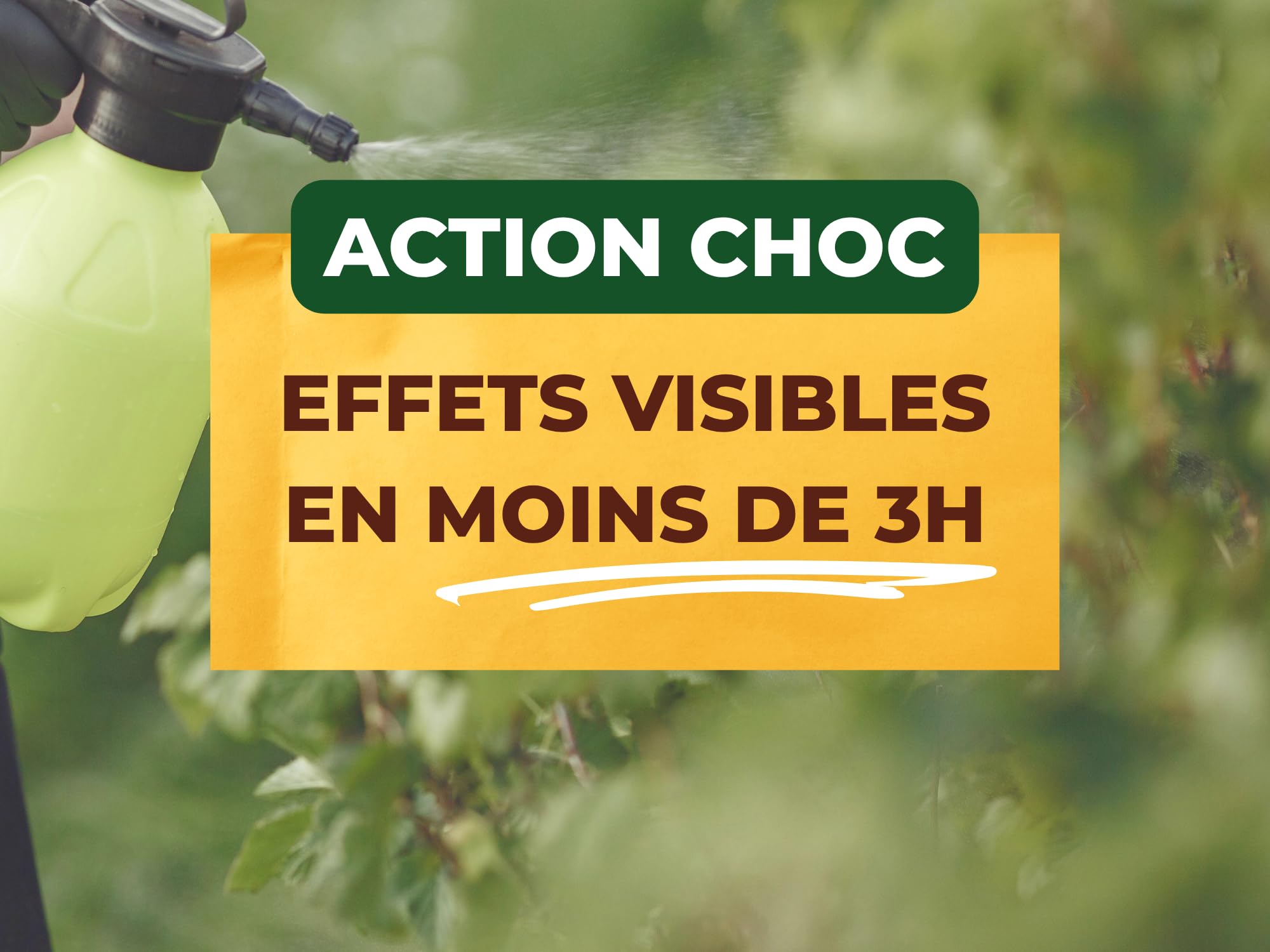 SOLABIOL Anti-Insectes Polyvalents - Action Rapide - 100ml | Effets Visibles en 3h - Pucerons, Cochenilles, Aleurodes - Utilisable en Agriculture Biologique - SOLIPOLY100N