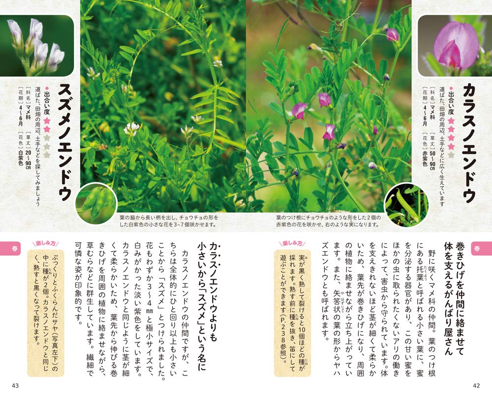 子どもと一緒に見つける 草花さんぽ図鑑 Npo法人 自然観察大学 配送料無料