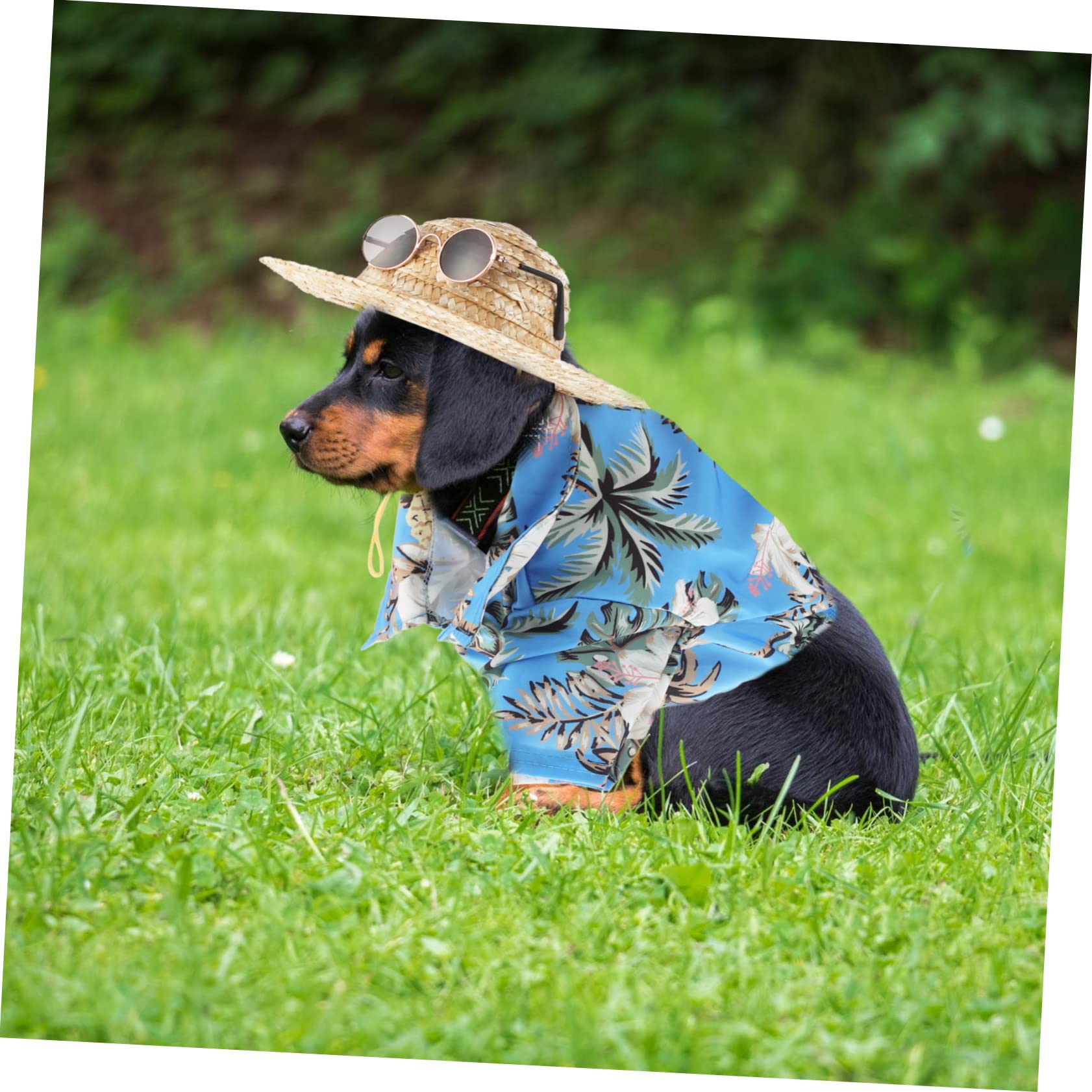 YARNOW 9 Pcs Accessori Per Animali Da Compagnia Hawaiian Costume Pet Summer Cool T-Shirt Hawaiana Camicia Per L'Estate Occhiali Da Sole Da Spiaggia Carro Armato Di Cotone Occhiali
