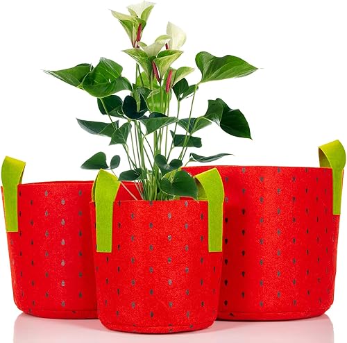 Fabric Grow Bags 3 Pack 2-Gallon 3-Gallon and 5-Gallon Outdoor Planters with Advanced Aeration Yields Stronger Healthier Plants Vegetables and Black