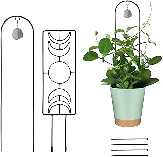 LONCHDAN 2Pack Plant Trellis Indoor for Climbing Plants Indoor Trellis with Agate for Potted Plants Support Houseplant Moon Phase Trellis Metal Trellis for Garden Potted Ivy Vine