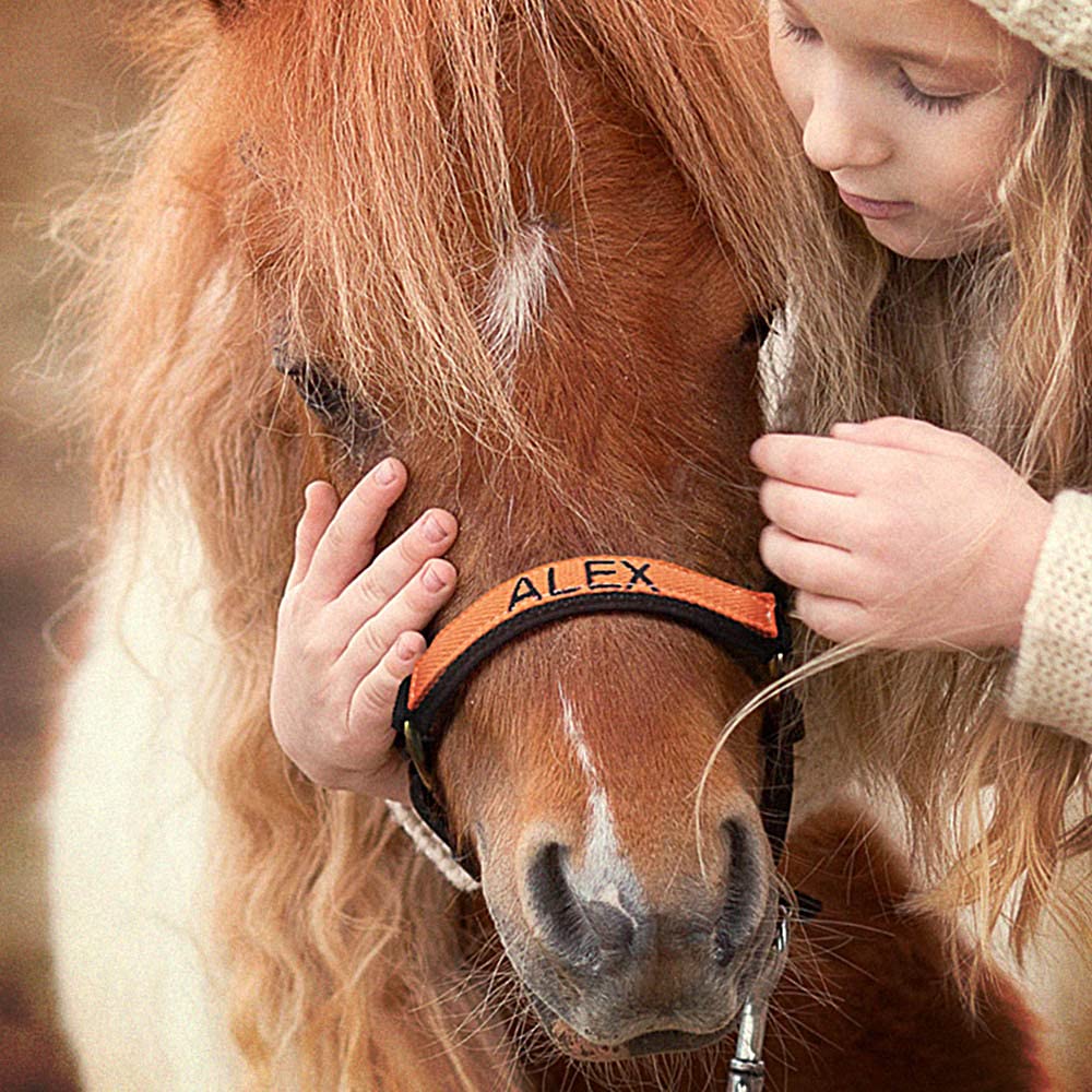 Pferdehalfter mit Namenstickerei am Nasenband - Personalisiertes Halfter mit Namen - Führleine - Führleine - Führleine - Halfter mit Gravur - personalisierte Pferdetackle für dein Pferd oder Pony