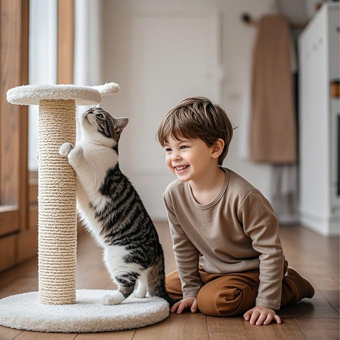 Repuesto rascador para gatos de sisal natural 2 piezas miniatura 7