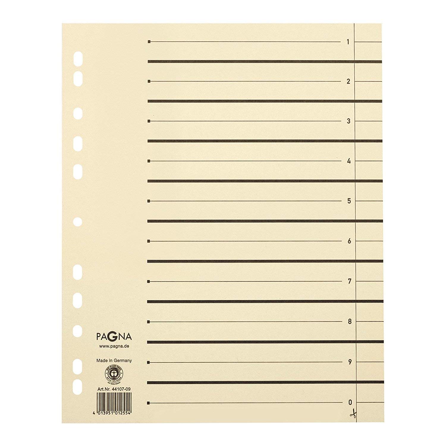 Pagna 44108-09 PAGNA Trennblätter 300x245x27 chamois 230g/qm, Inh.1000 (10x 100er Packung)