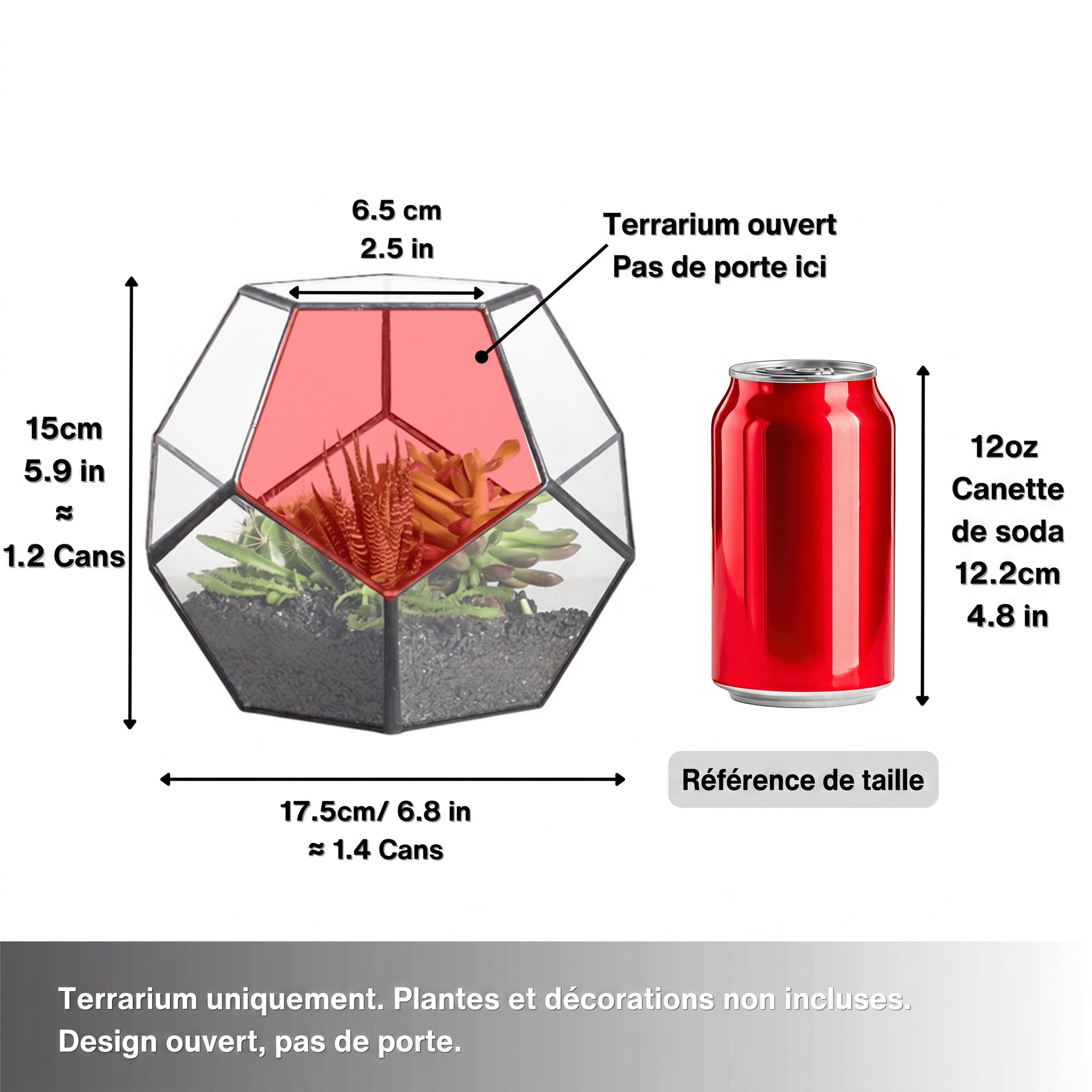 NCYP Noire Géométrique Terrarium en Forme de dodécaèdre et plaques Transparent de Verre pentagonales pour Plante (Pas de Plantes)