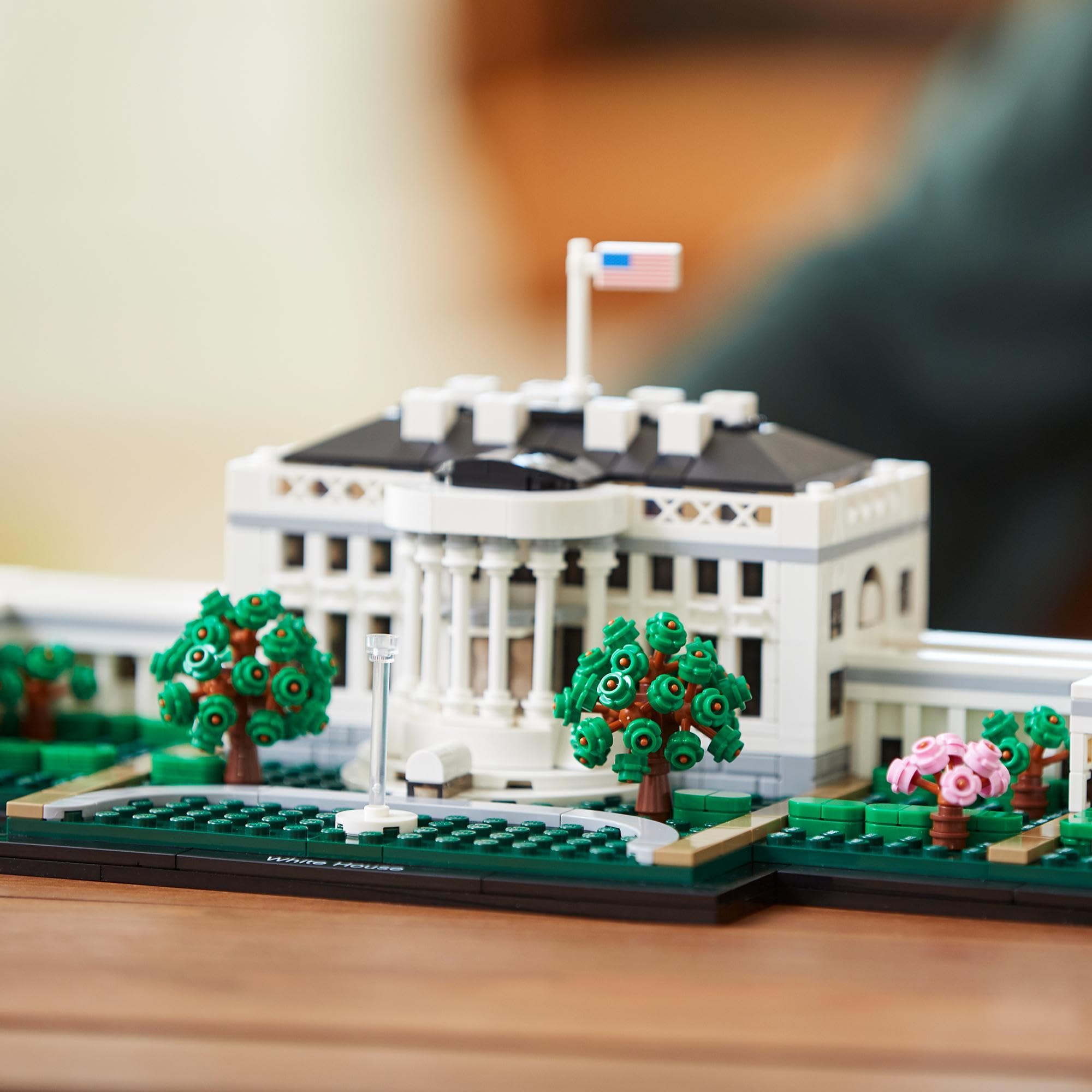 LEGO Architecture La Casa Bianca, Modellino da Costruire, Progetto Fai da Te da Collezione, Set di Decorazione per la Casa, Hobby Creativo per Adulti, Idee Regalo per Uomo, Donna, Lui o Lei 21054