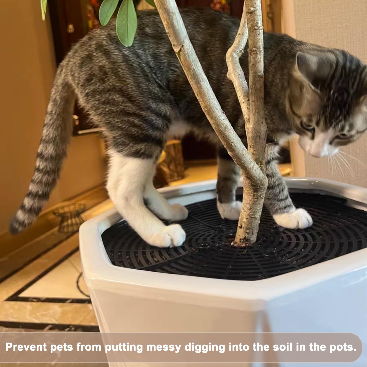 Lot de 2 grilles de protection pour pots de fleurs, 30 cm, grille de protection pour plantes, chat, coupables, protège la terre des animaux et des enfants, noir