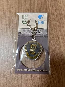 甲子園100回記念キーホルダー(甲子園土入り) Amazon.co.jp: 阪神甲子園球場100周年記念 甲子園の土入り