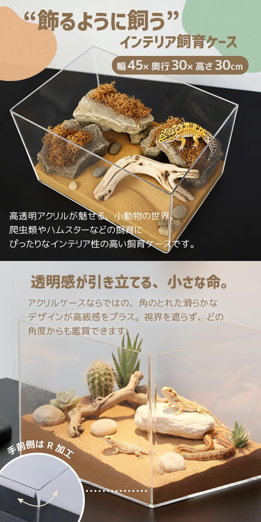 Amazon | SemiSta 爬虫類 ケージ アクリル 幅45cm 飼育ケース