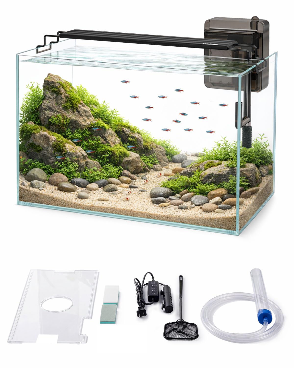 minilake Betta Fish Tank Kit