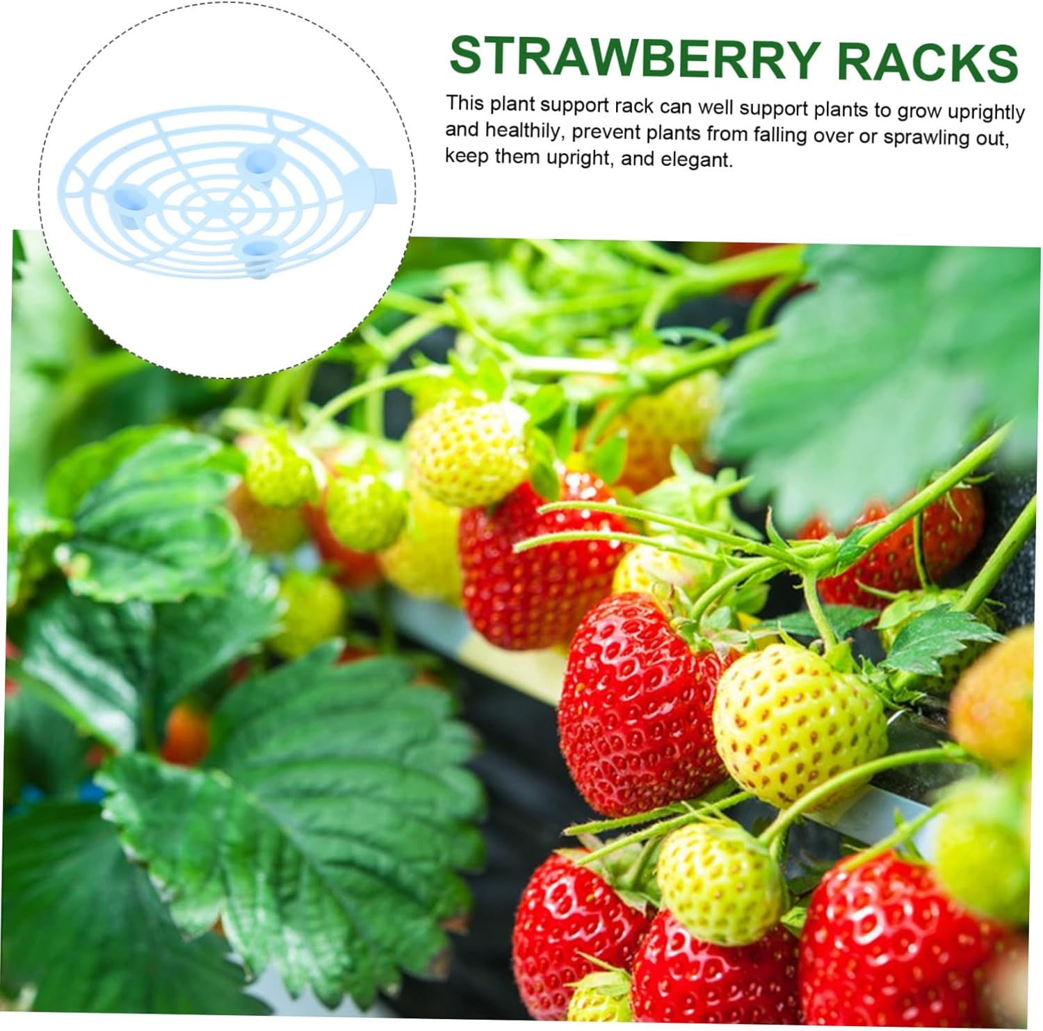 Mikikit 40pcs Strawberry Plant Support Racks Plastic Strawberry Growing Racks Planting Holder