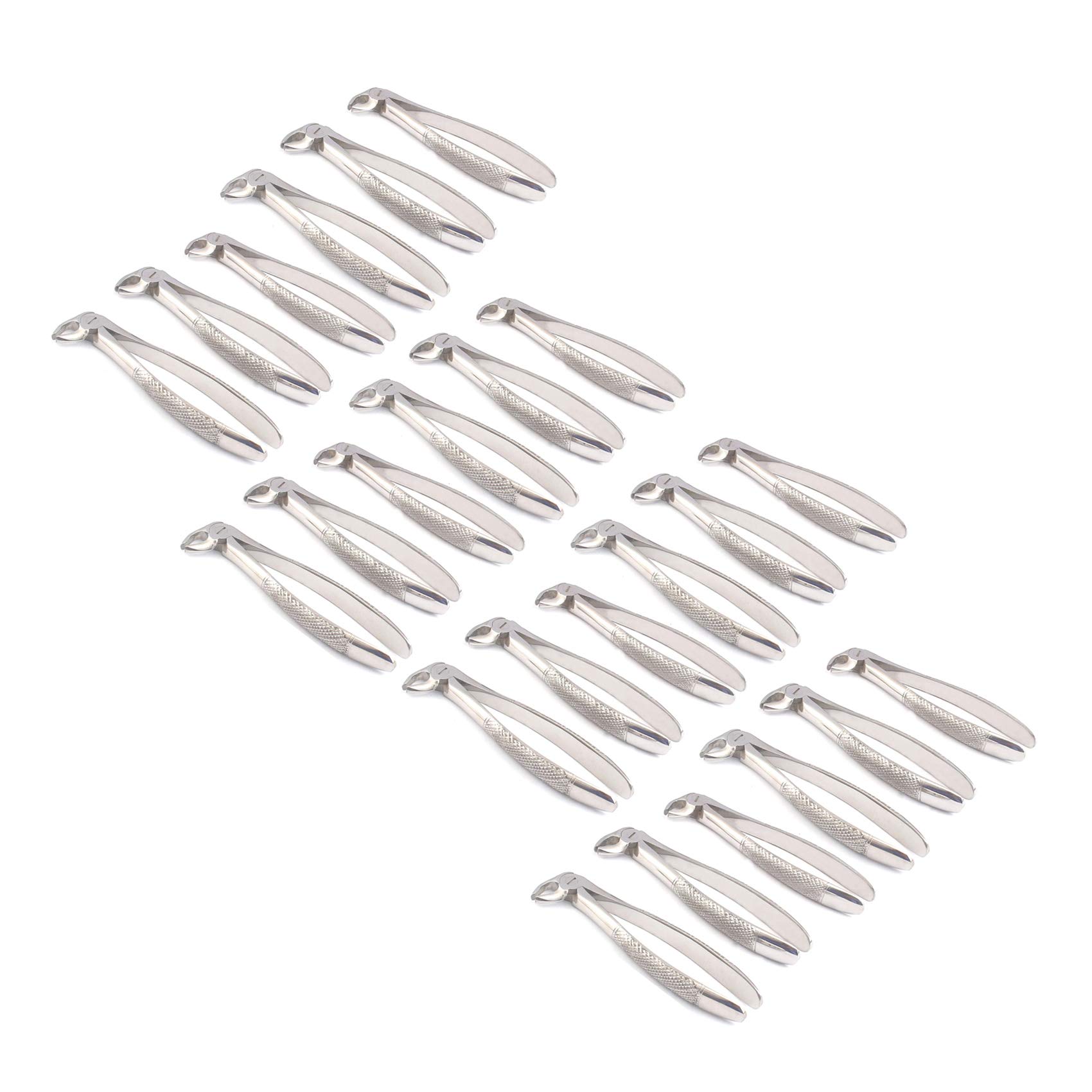 OdontoMed2011 Set Of 24 Dental Extracting Forceps 13S Dental Extraction Instruments ODM