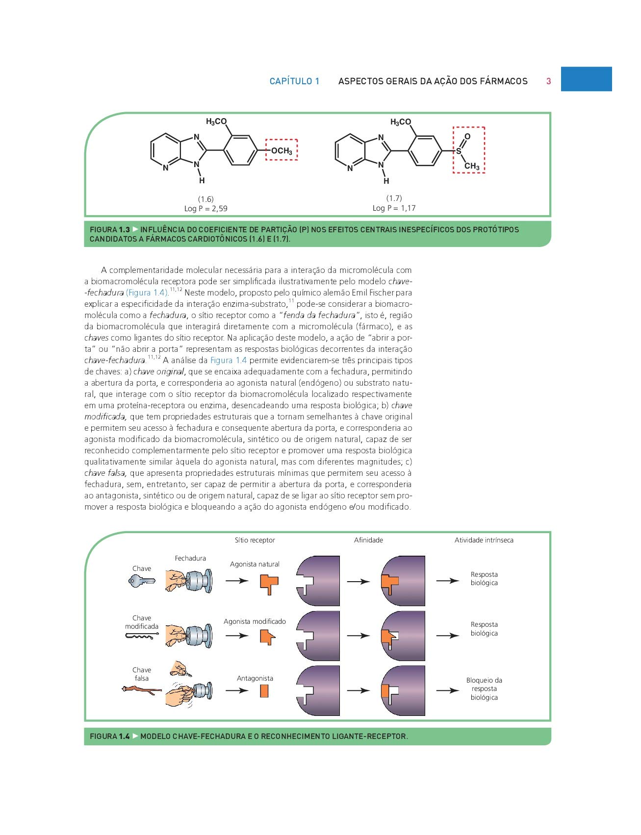 Química Medicinal. As Bases Moleculares da Ação dos Fármacos (Em Portuguese do Brasil)