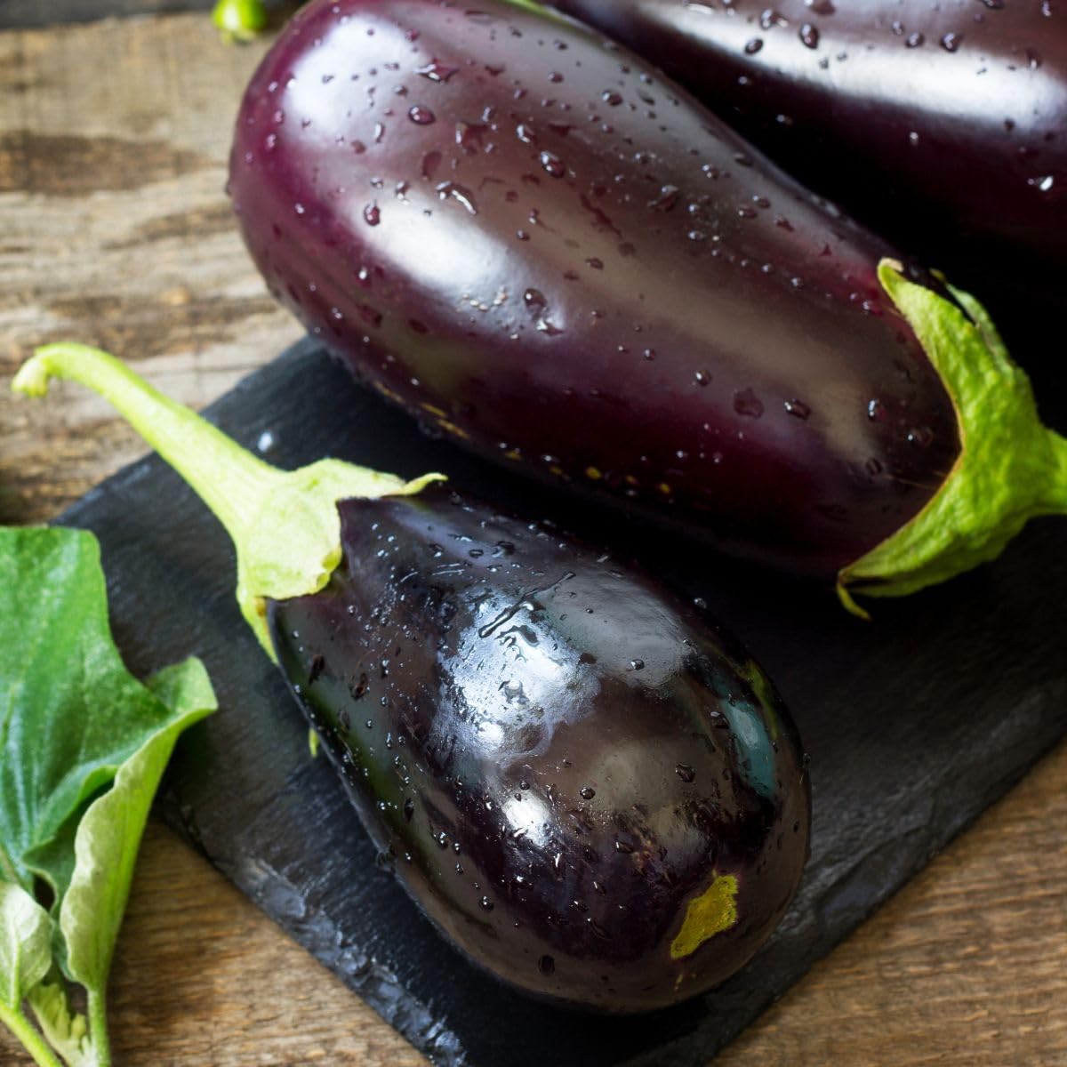 Aubergine Grafted Veg Plants 'Scorpio' Solanum Melongena Egg Plant Half-Hardy Annual Easy to Grow Your Own Garden Vegetables Supplied as x1 9cm Potted Plant by Thompson and Morgan (1) - Image 3