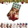 Customisable Christmas Stocking, Personalized Paw Christmas Stocking with Cat and Dog Picture and Name - Fireplace Hanging Christmas Decorations Gift 17 Inches