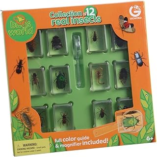 Constructive Playthings Geoworld Bugs World Collection, 12 Real Insects, Scientific Educational Toy