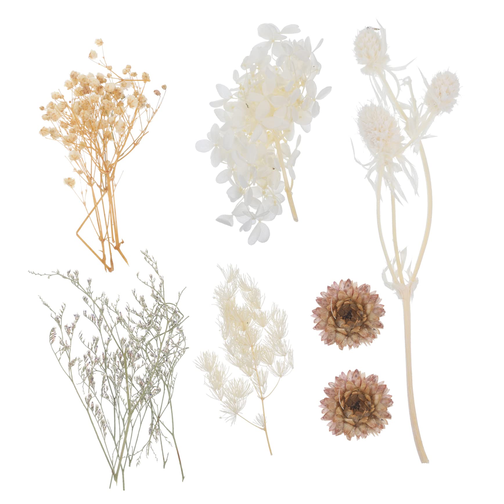 STOBAZA 4sätze Getrocknete Blumen Für -projekte Gepresste Blumen Für Resin Kerzen Und Kreative Bastelideen Für Kunsthandwerk Und Dekoration