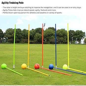 アジリティポール 81uOfy64m4L._UF350,350_QL80_.jpg