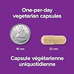 Webber Naturals KSM Ashwagandha 7200 mg, 60 Capsules | Clinically Proven KSM-66 Ashwagandha, Helps Increase Resistance to Stress and Anxiety, Vegan