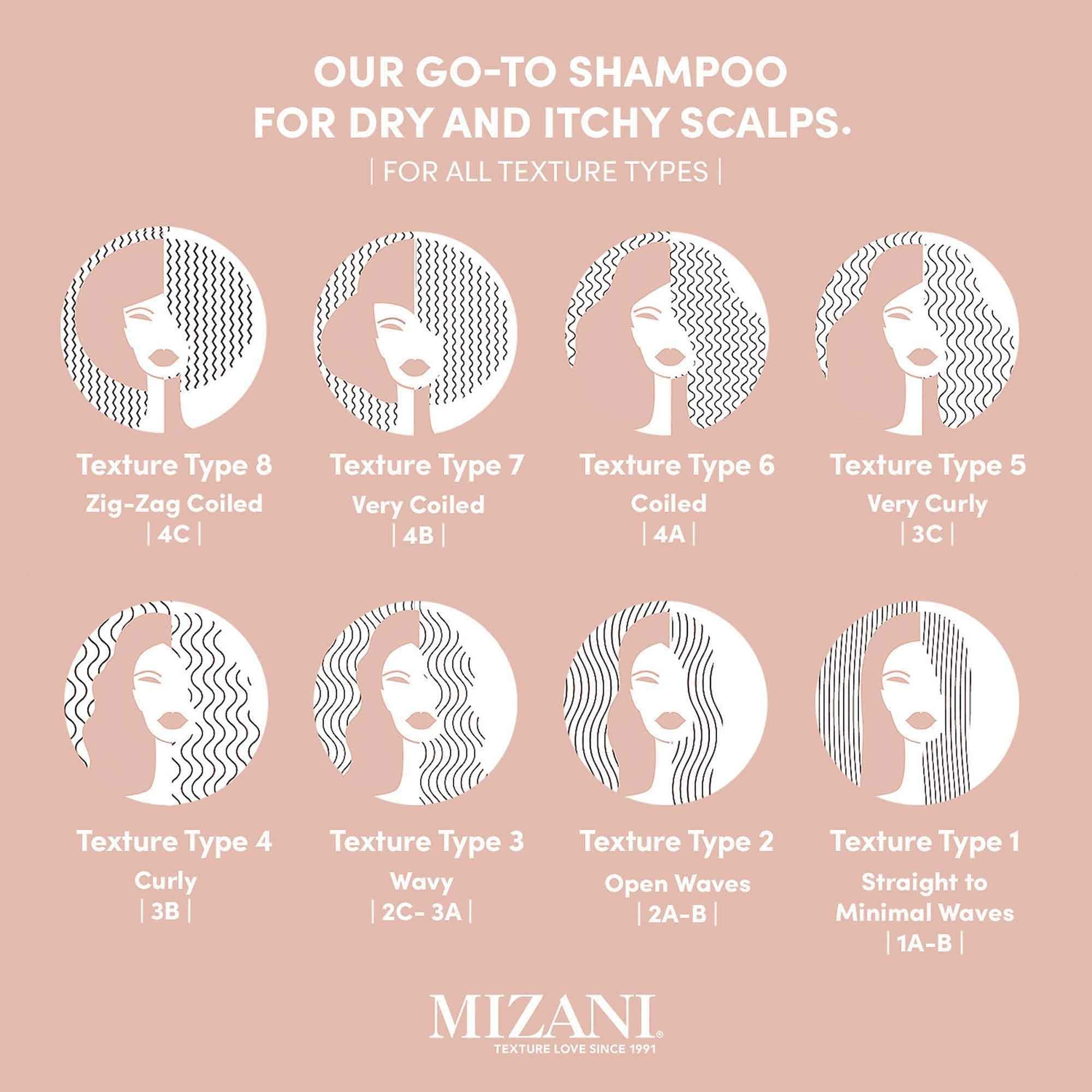 MIZANI Scalp Care Dandruff Shampoo for All Hair Textures