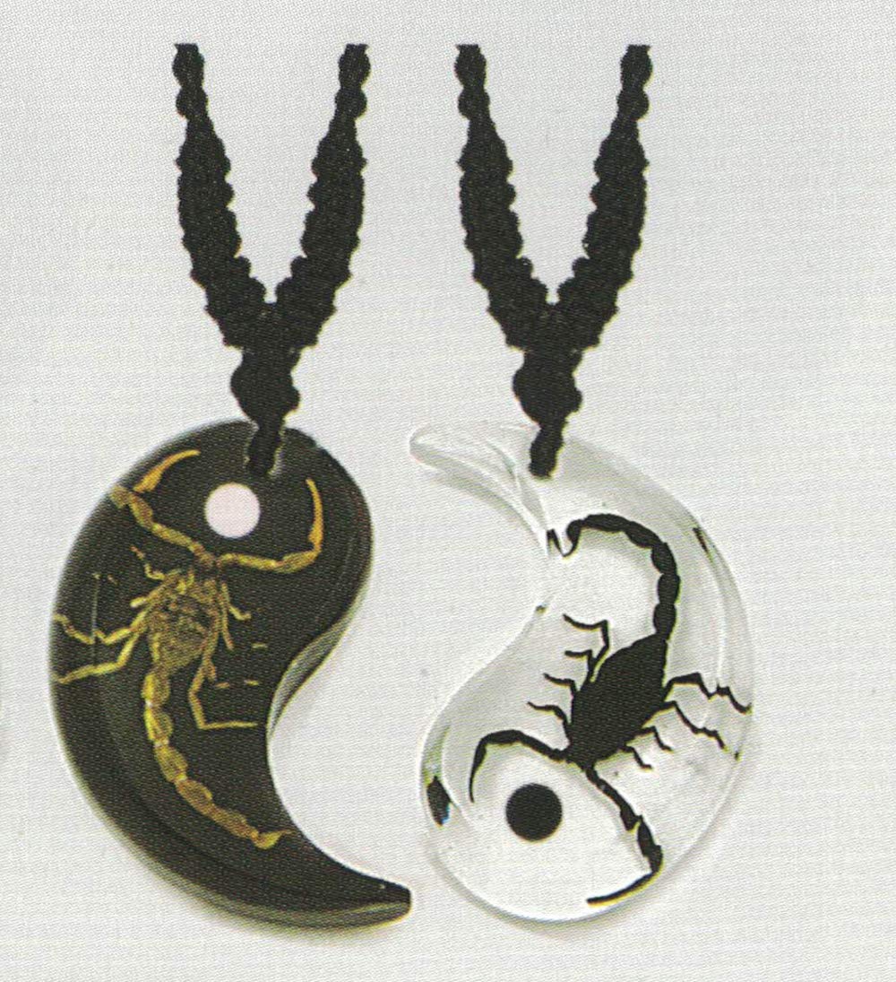 Real Insect Ying Yang Scorpion Necklace #B0191-F Dot