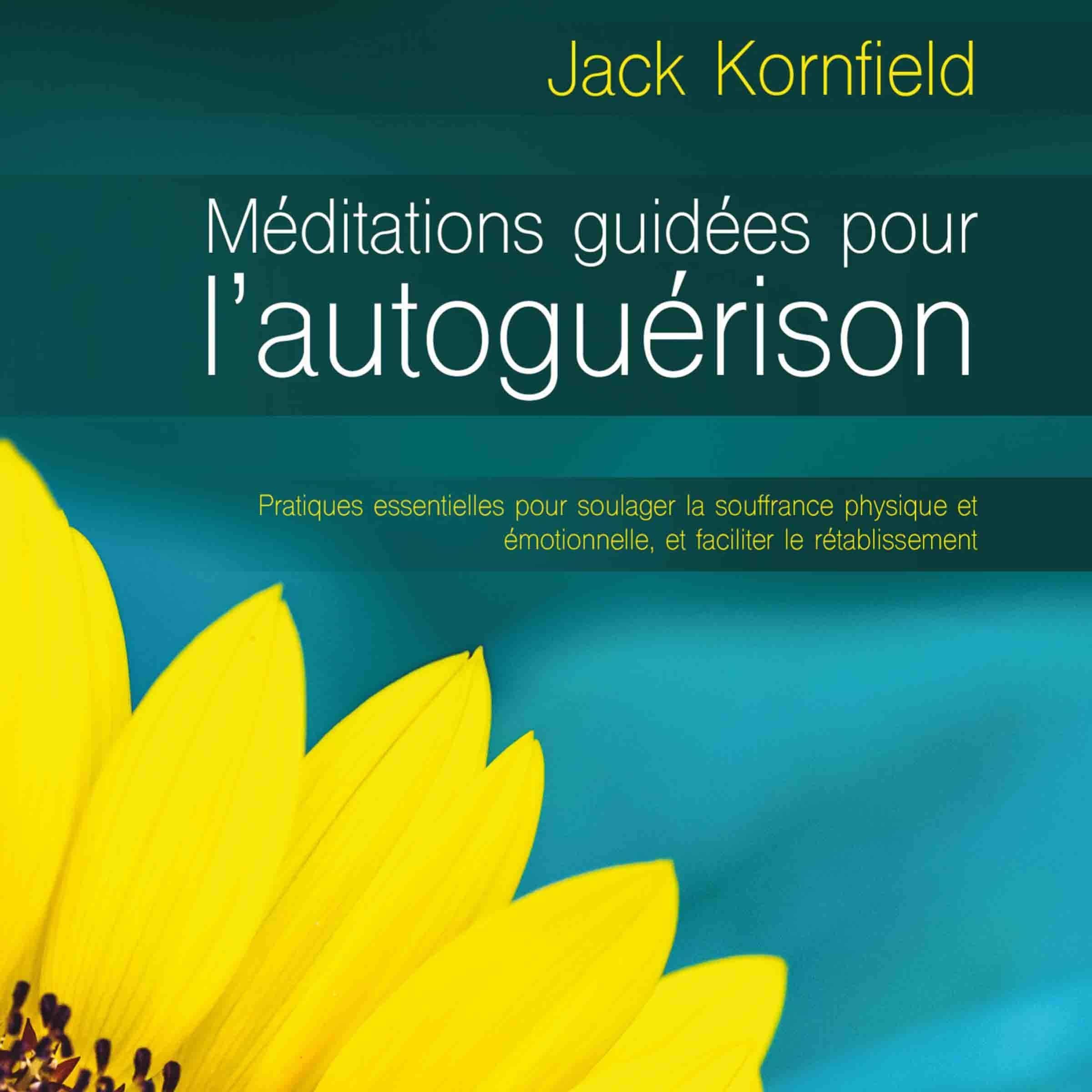 Méditation guidées pour l'autoguérison (N. Éd.)