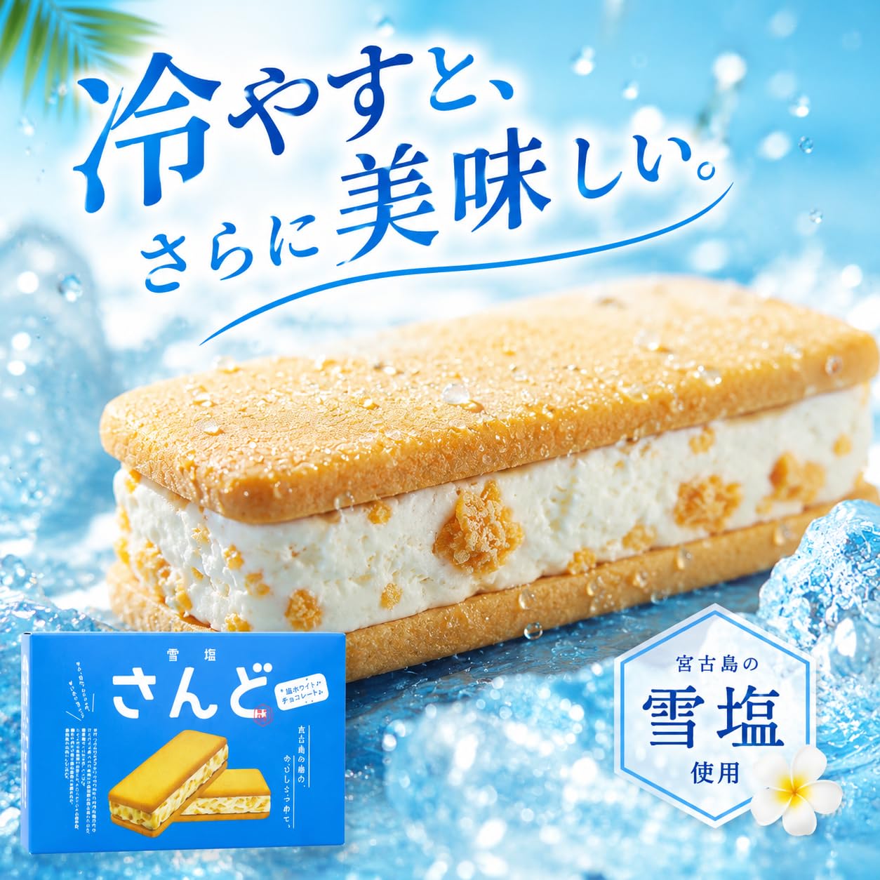 Amazon.co.jp: 【沖縄土産】雪塩さんど 6個入り×2箱 宮古島 雪塩 塩