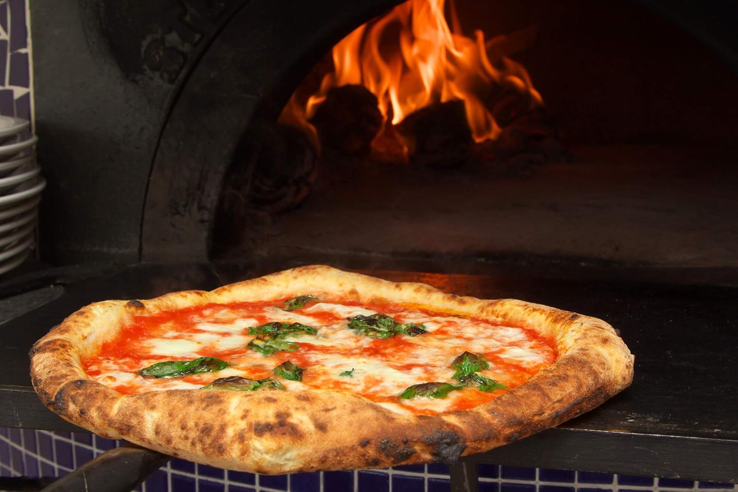 遠藤商事 Endoshoji GPZ3606 TKG Pizza Pan, Commercial Use, 15.7 inches (40 cm), Made in China