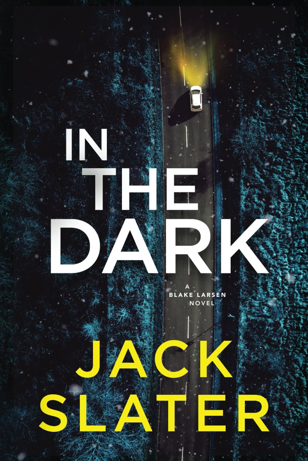 In The Dark (Blake Larsen) Paperback – February 7, 2023