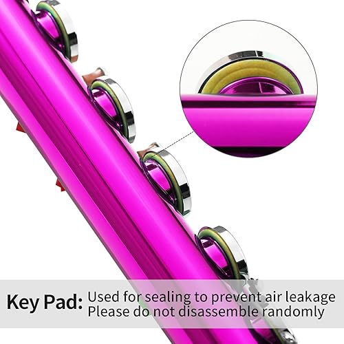 Miniatura 31 de LeSage Flauta C de agujero cerrado de 16 teclas azul para estudiantes principiantes con estuche, kit de mantenimiento, paño de limpieza, pie C