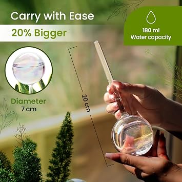 Iridescent Self Watering Globes, Glass Rainbow Plant Watering Globes, Self Watering Planter Insert, Automatic Plant Waterer Indoor (Medium-2 Pcs Iridescent, Medium)