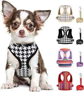 Amazon.com : XXS Dog Harness - Dog Harness - Escape Proof Dog Harness
