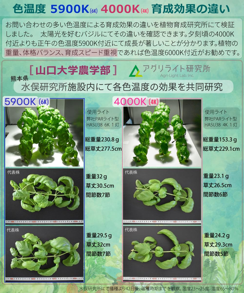 Amazon.co.jp: HaruDesign 植物育成ライト GL-A 6K FtW マットホワイト